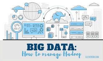 數(shù)據(jù)賦能醫(yī)療 Hadoop大數(shù)據(jù)如何重塑患者護(hù)理與數(shù)據(jù)交易服務(wù)